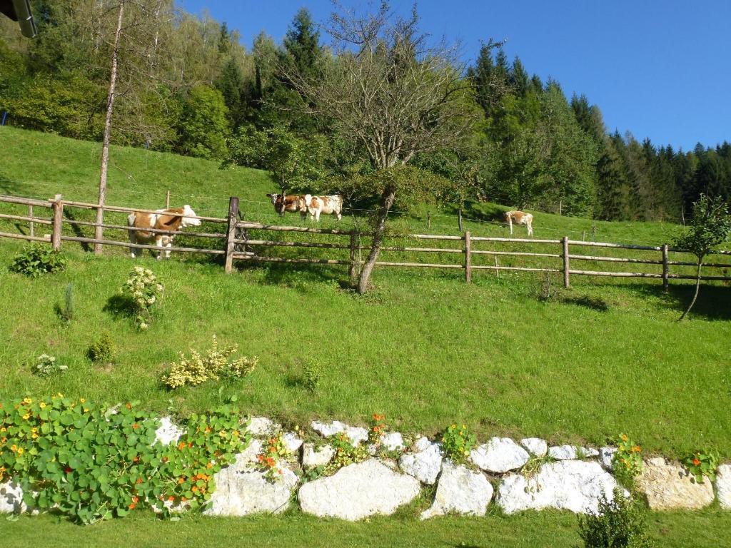 Pension Ehrenfried - Hotel Garni Kindberg ภายนอก รูปภาพ
